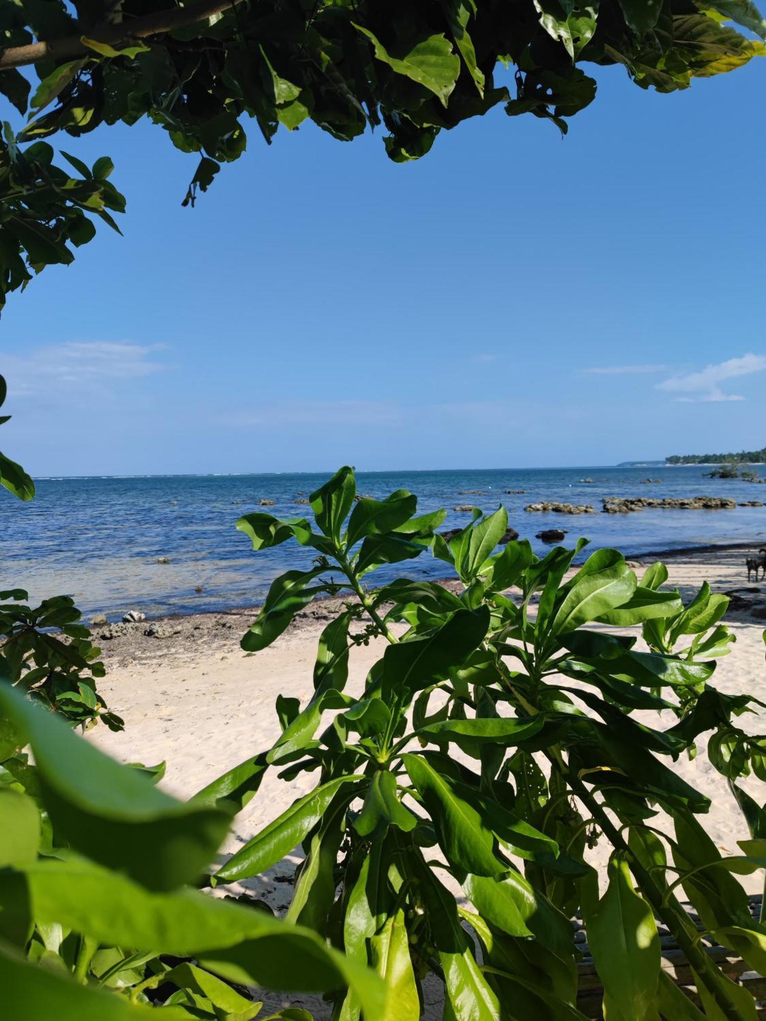 ג'נרל לונה Daluyong Beach Resort מראה חיצוני תמונה