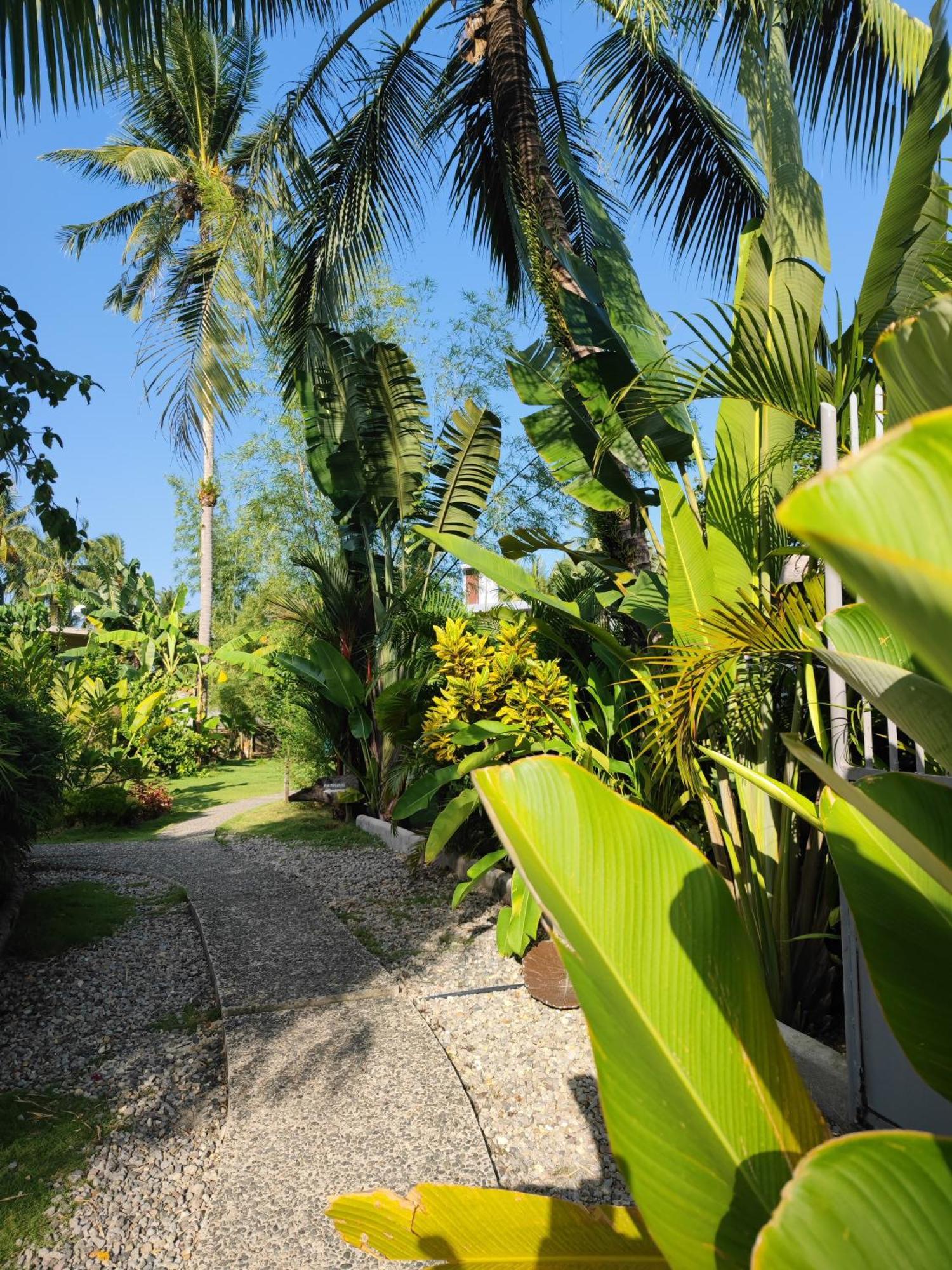ג'נרל לונה Daluyong Beach Resort מראה חיצוני תמונה