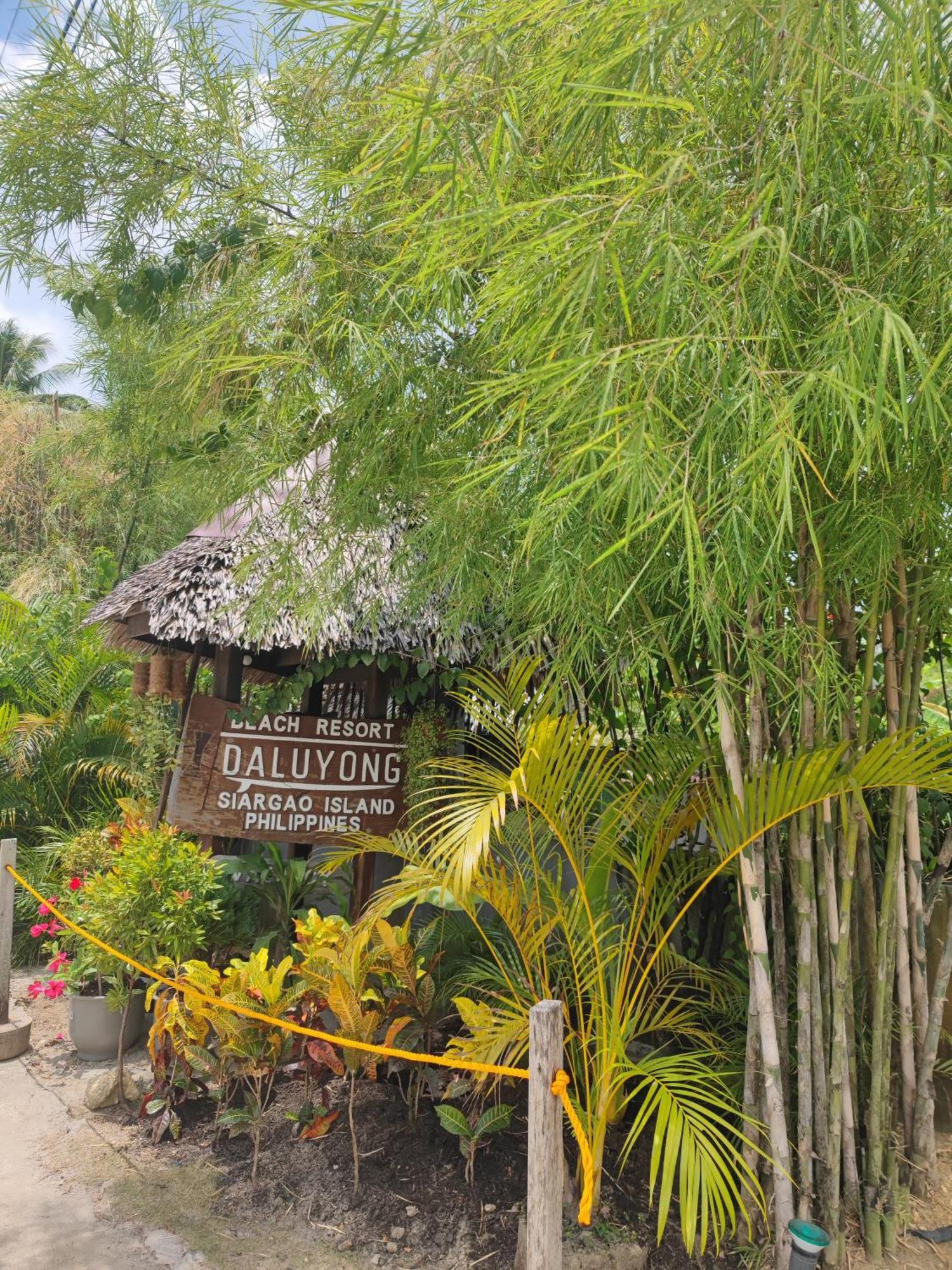 ג'נרל לונה Daluyong Beach Resort מראה חיצוני תמונה